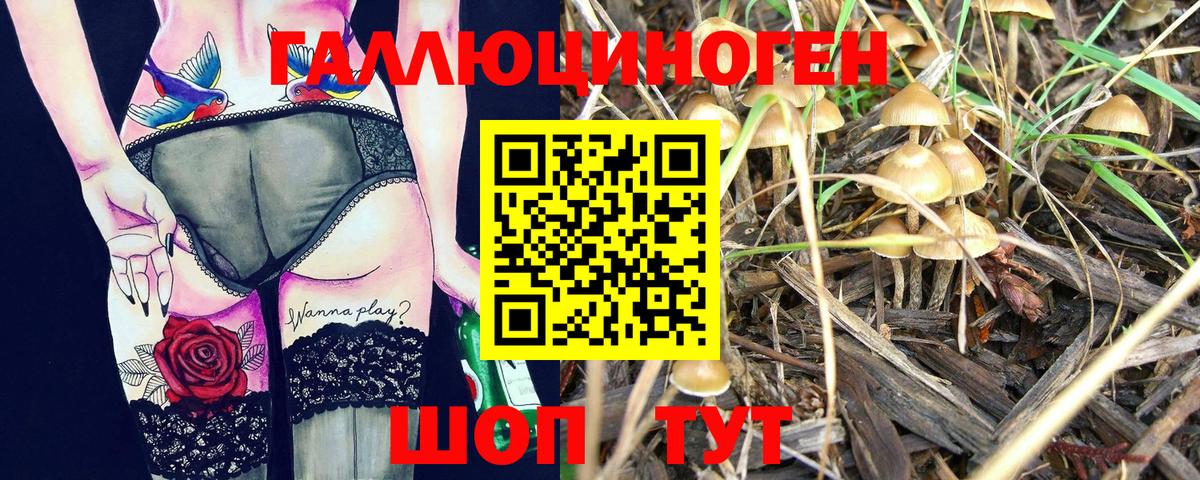 Галлюциногенные грибы MAGIC MUSHROOMS Кубинка