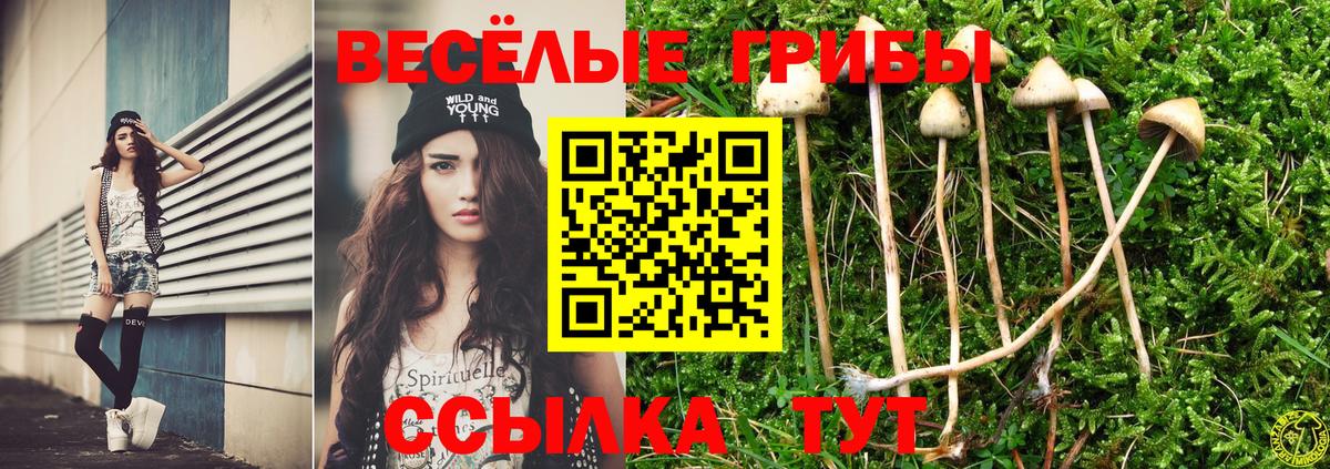 Галлюциногенные грибы ЛСД  Вход с VPN  продажа наркотиков  Кубинка 